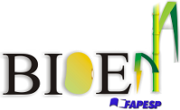 bioen_sem_background1
