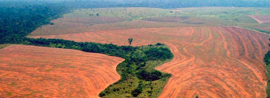 Sustainability and Impacts